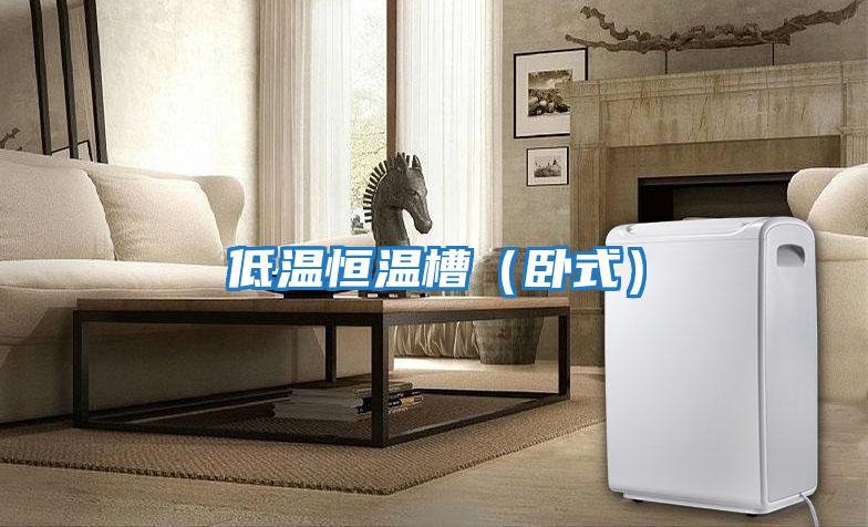 低溫恒溫槽(臥式)