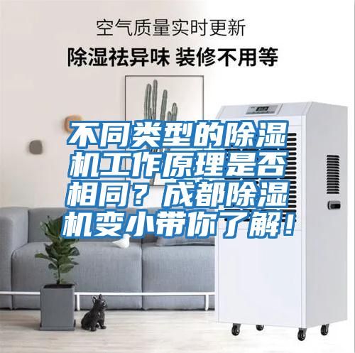 不同類型的除濕機工作原理是否相同?成都除濕機變小帶你了解!