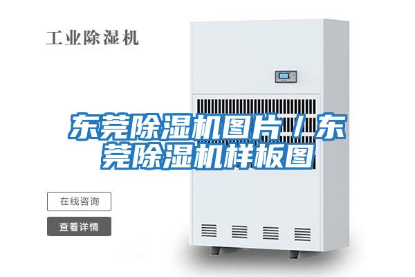 東莞除濕機圖片/東莞除濕機樣板圖