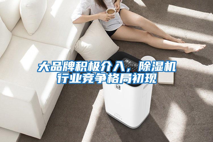 大品牌積極介入，除濕機行業競爭格局初現