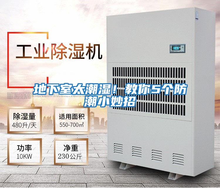 地下室太潮濕！教你5個防潮小妙招