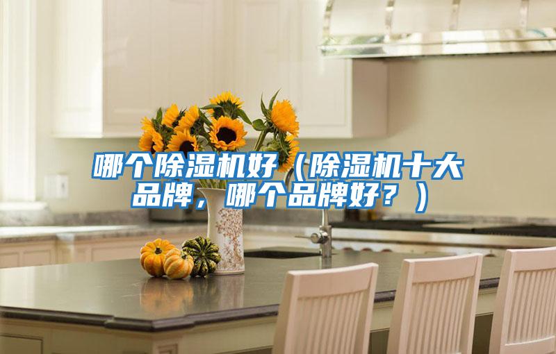 哪個除濕機好(除濕機十大品牌,哪個品牌好?)