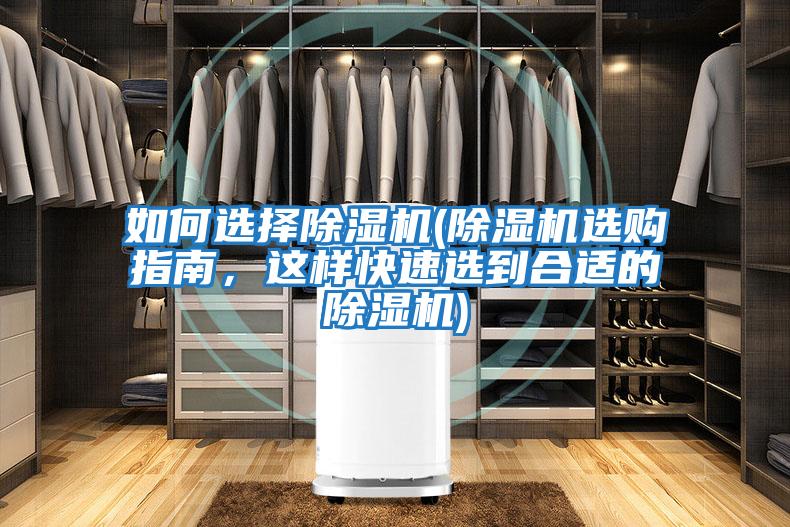 如何選擇除濕機(除濕機選購指南，這樣快速選到合適的除濕機)