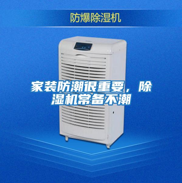 家裝防潮很重要，除濕機常備不潮