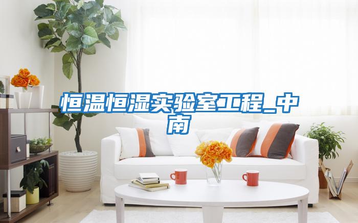 恒溫恒濕實驗室工程_中南