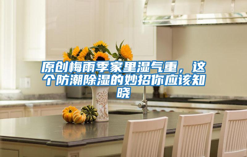 原創(chuàng)梅雨季家里濕氣重，這個防潮除濕的妙招你應(yīng)該知曉