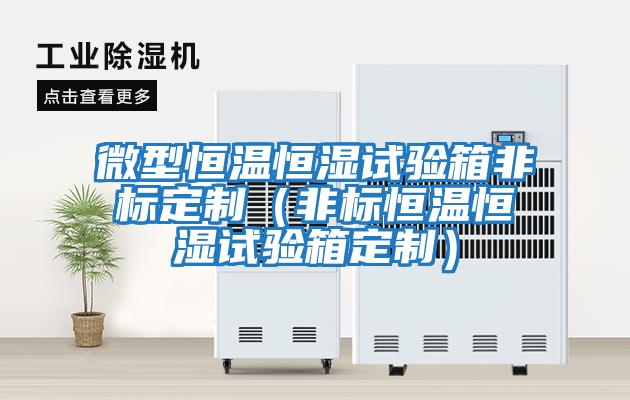 微型恒溫恒濕試驗箱非標定制(非標恒溫恒濕試驗箱定制)