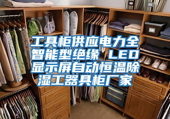 工具柜供應電力全智能型絕緣 LED顯示屏自動恒溫除濕工器具柜廠家