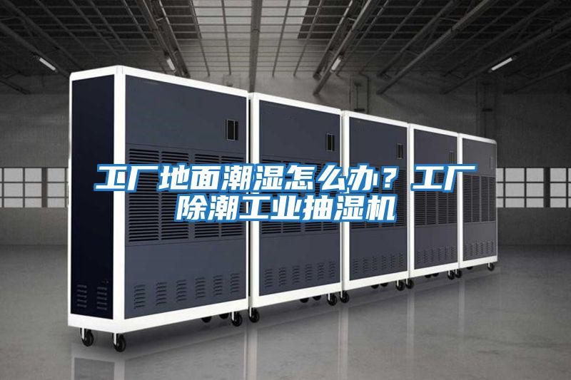 工廠地面潮濕怎么辦？工廠除潮工業抽濕機