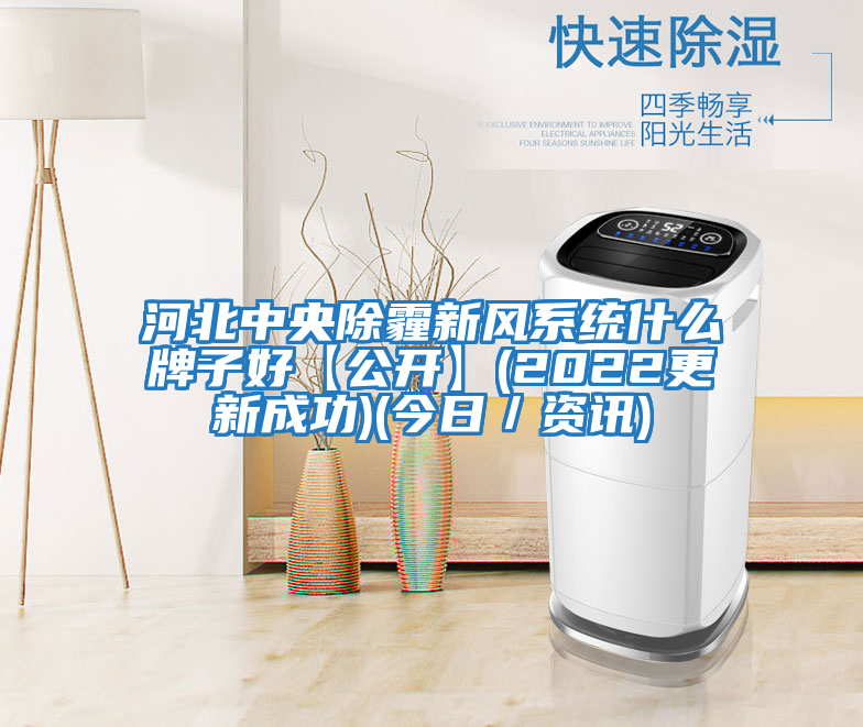 河北中央除霾新風(fēng)系統(tǒng)什么牌子好【公開】(2022更新成功)(今日/資訊)