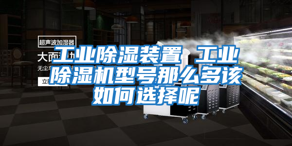 工業(yè)除濕裝置 工業(yè)除濕機型號那么多該如何選擇呢