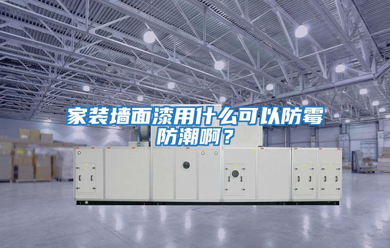 家裝墻面漆用什么可以防霉防潮?。?></div>
								<div   id=