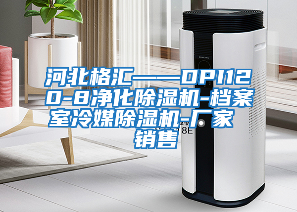河北格匯——DPI120-8凈化除濕機(jī)-檔案室冷媒除濕機(jī)-廠家 銷售