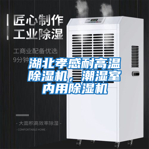 湖北孝感耐高溫除濕機，潮濕室內(nèi)用除濕機