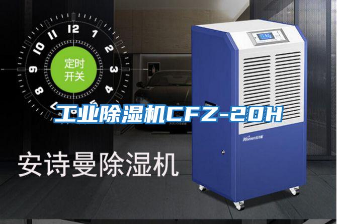 工業除濕機CFZ-20H