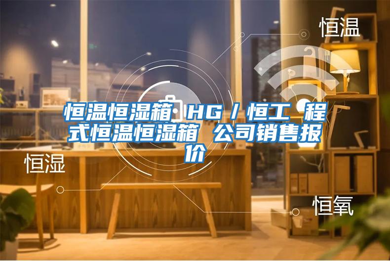 恒溫恒濕箱 HG/恒工 程式恒溫恒濕箱 公司銷售報(bào)價(jià)