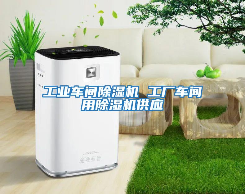 工業車間除濕機 工廠車間用除濕機供應