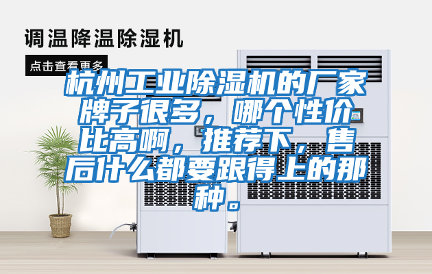 杭州工業(yè)除濕機(jī)的廠家牌子很多,哪個性價比高啊,推薦下,售后什么都要跟得上的那種。
