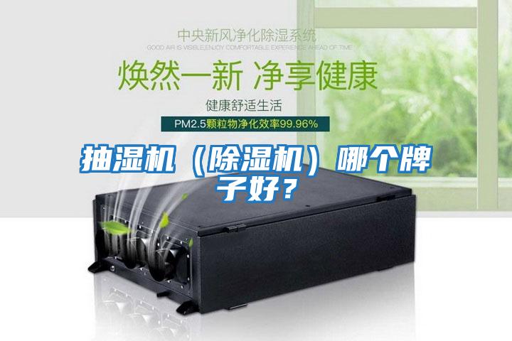 抽濕機（除濕機）哪個牌子好？