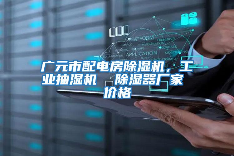 廣元市配電房除濕機，工業抽濕機  除濕器廠家 價格