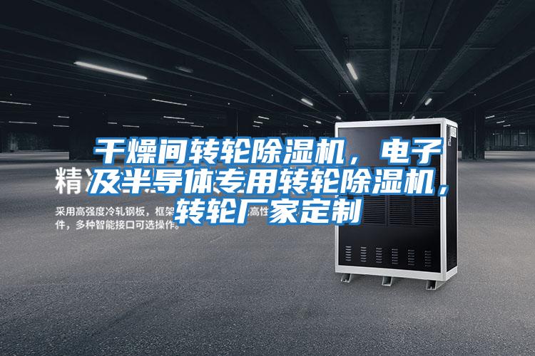 干燥間轉輪除濕機，電子及半導體專用轉輪除濕機，轉輪廠家定制