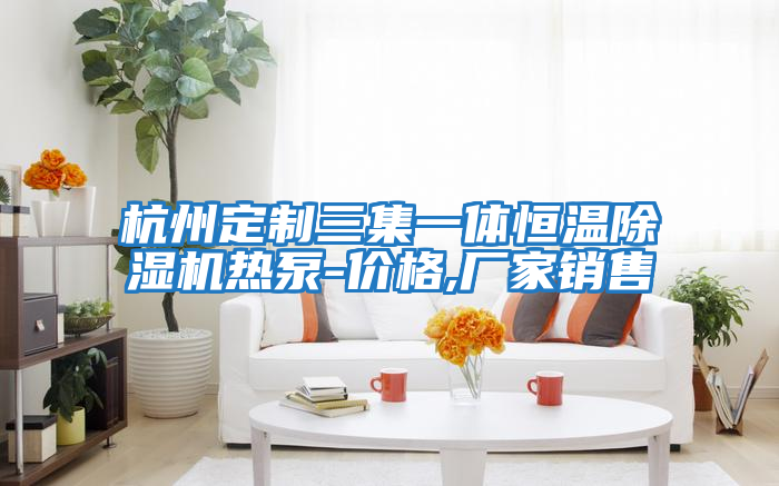 杭州定制三集一體恒溫除濕機(jī)熱泵-價格,廠家銷售