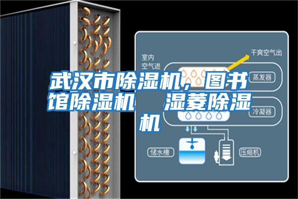 武漢市除濕機(jī),圖書(shū)館除濕機(jī)  濕菱除濕機(jī)