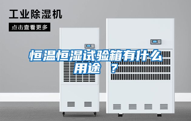 恒溫恒濕試驗箱有什么用途 ？