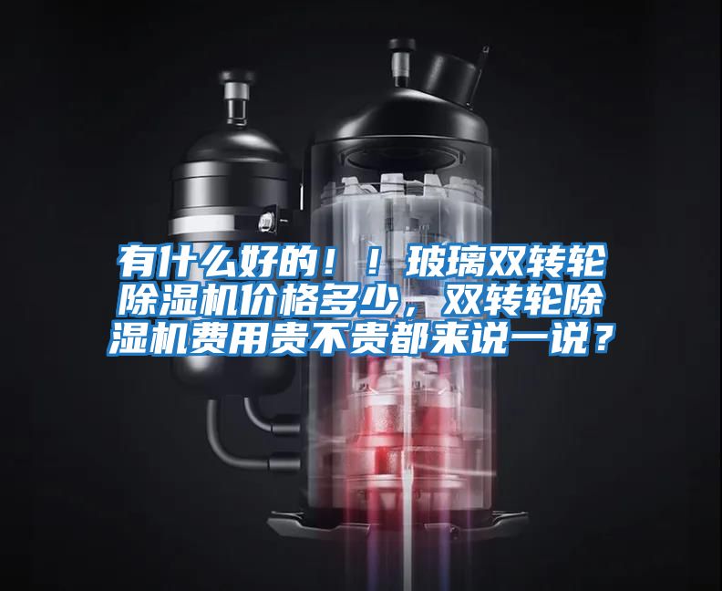 有什么好的?。〔Ａщp轉輪除濕機價格多少，雙轉輪除濕機費用貴不貴都來說一說？