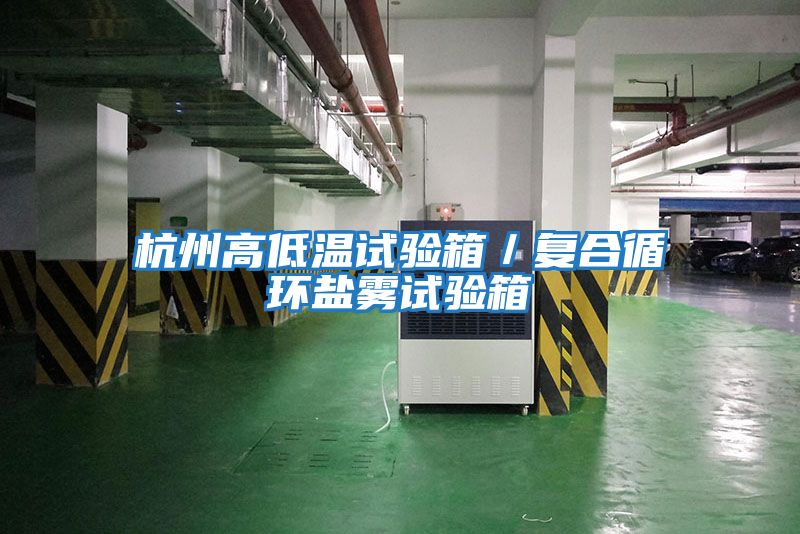 杭州高低溫試驗(yàn)箱/復(fù)合循環(huán)鹽霧試驗(yàn)箱