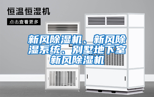 新風除濕機、新風除濕系統、別墅地下室新風除濕機