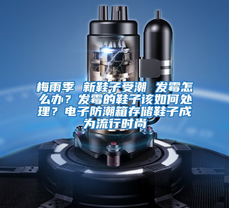 梅雨季 新鞋子受潮 發(fā)霉怎么辦？發(fā)霉的鞋子該如何處理？電子防潮箱存儲(chǔ)鞋子成為流行時(shí)尚