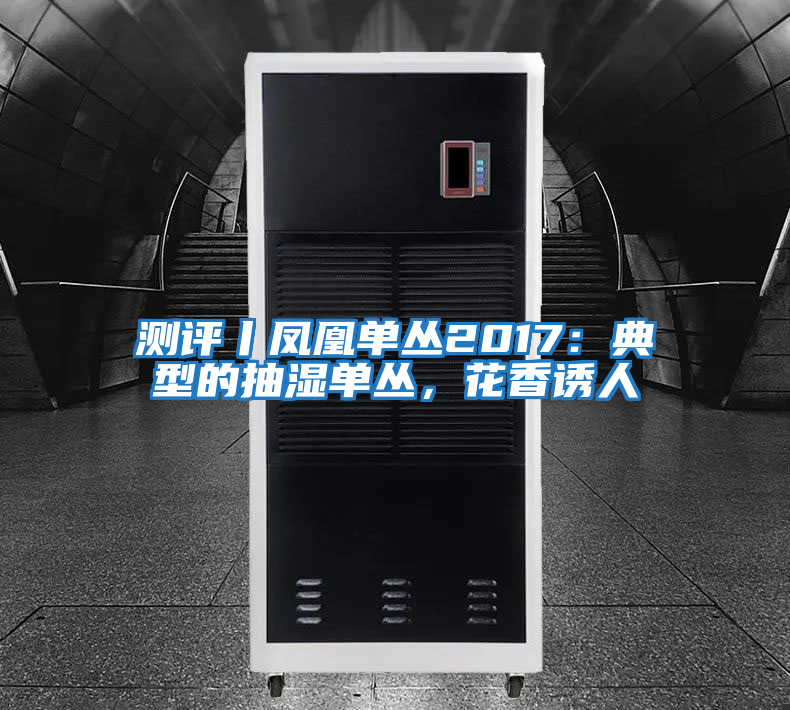 測評丨鳳凰單叢2017:典型的抽濕單叢,花香誘人