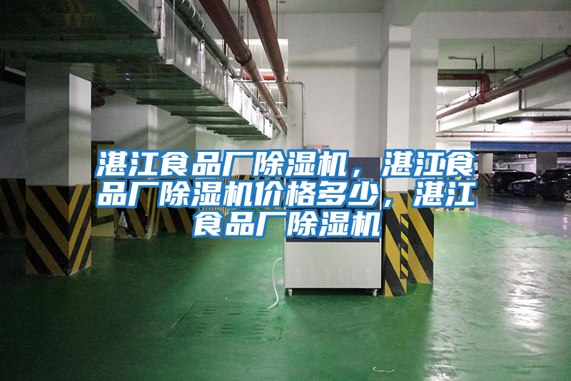 湛江食品廠除濕機(jī),湛江食品廠除濕機(jī)價格多少,湛江食品廠除濕機(jī)