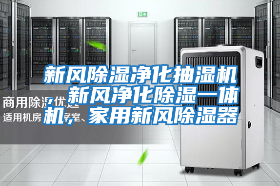 新風除濕凈化抽濕機，新風凈化除濕一體機，家用新風除濕器