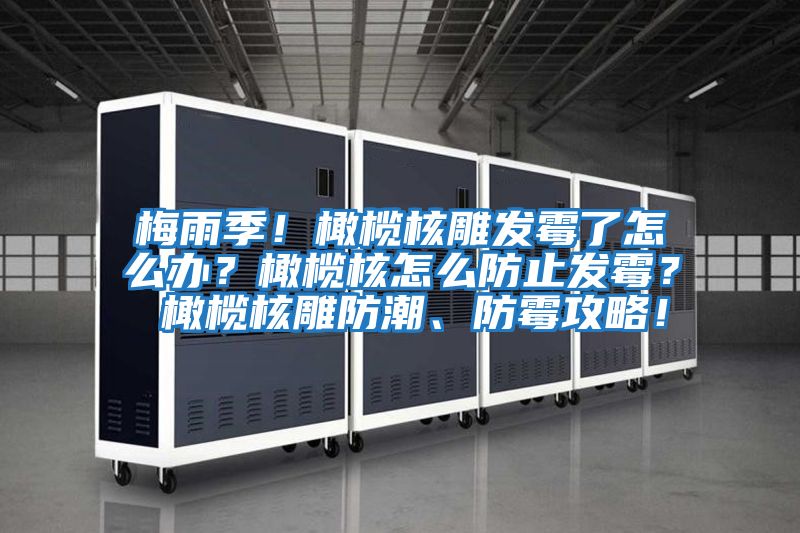 梅雨季！橄欖核雕發霉了怎么辦？橄欖核怎么防止發霉？ 橄欖核雕防潮、防霉攻略！