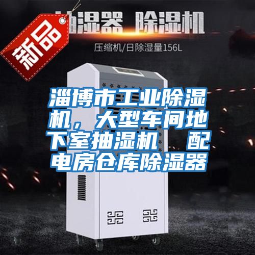 淄博市工業除濕機,大型車間地下室抽濕機  配電房倉庫除濕器