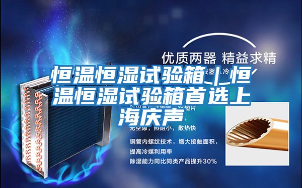 恒溫恒濕試驗箱|恒溫恒濕試驗箱首選上海慶聲