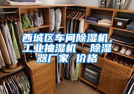 西城區車間除濕機，工業抽濕機  除濕器廠家 價格
