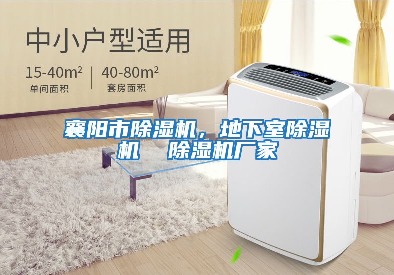 襄陽市除濕機，地下室除濕機  除濕機廠家