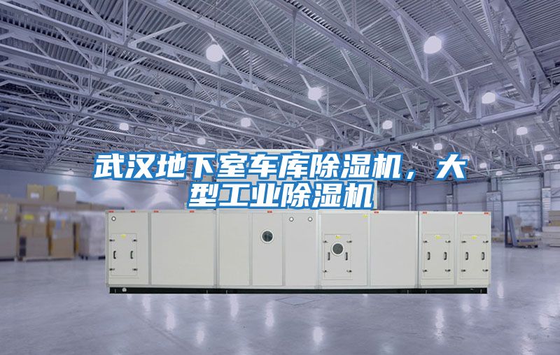 武漢地下室車庫除濕機(jī),大型工業(yè)除濕機(jī)