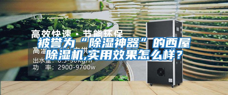 被譽(yù)為“除濕神器”的西屋除濕機(jī),實(shí)用效果怎么樣？