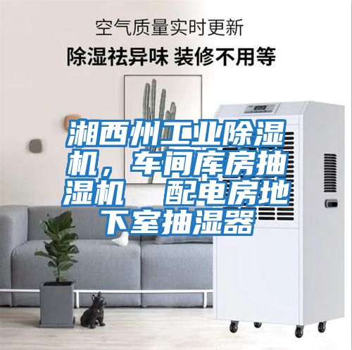 湘西州工業除濕機，車間庫房抽濕機  配電房地下室抽濕器