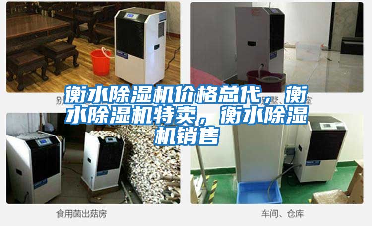 衡水除濕機(jī)價(jià)格總代，衡水除濕機(jī)特賣，衡水除濕機(jī)銷售