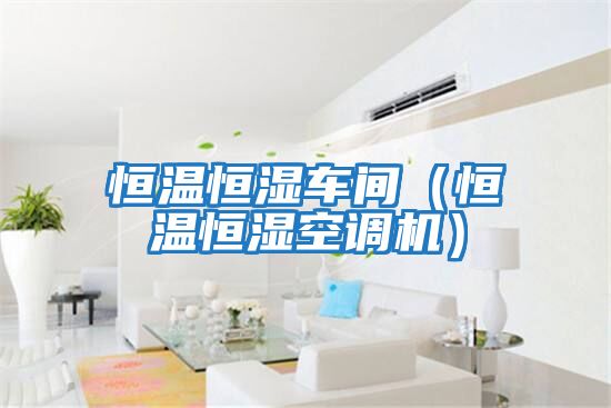 恒溫恒濕車間(恒溫恒濕空調機)