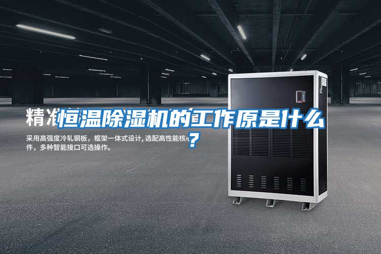 恒溫除濕機(jī)的工作原是什么?