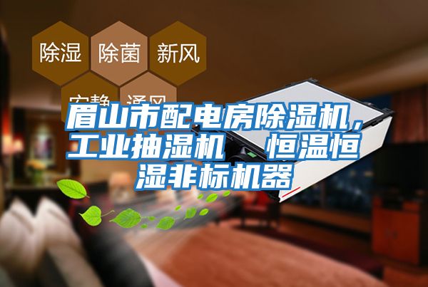 眉山市配電房除濕機,工業(yè)抽濕機 恒溫恒濕非標機器