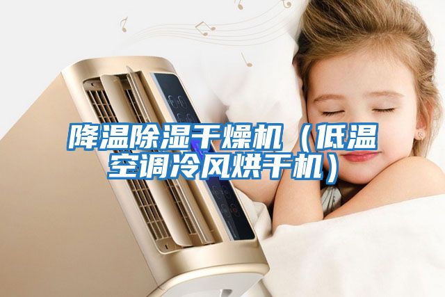 降溫除濕干燥機(低溫空調冷風烘干機)