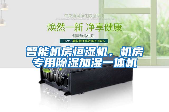 智能機房恒濕機,機房專用除濕加濕一體機