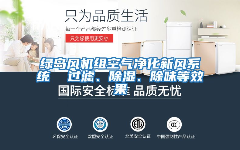 綠島風機組空氣凈化新風系統  過濾、除濕、除味等效果